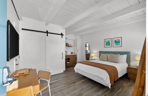 Leucadia Hotel | Pet-Friendly Surfhouse: A Family Retreat with Great Reviews