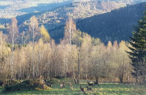 Stryszawa House | Discover Surzynówka: Guest Rated 9.9, Pet & Child Friendly