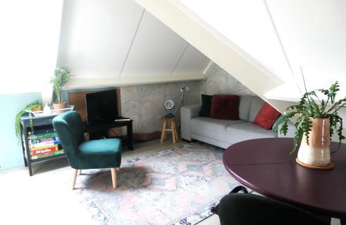 Zuidwolde Bed & Breakfast | Oceanfront Suuthwalda Overnight Stay with Family-Friendly Vibes