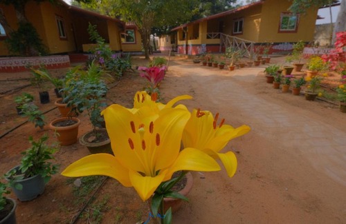 Bhubaneshwar House | Discover Svanir Wilderness Homestay: 9/10 Guest Rated Retreat