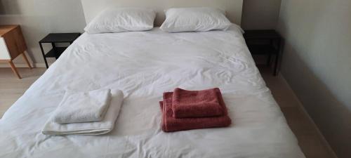 Siauliai City Center Apartment | Svečių butas