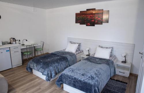 Kedainiai Apartment | Top-Rated Svečių namai Aurėja with Hot Tub & Family Amenities