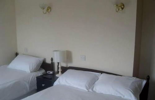 Wellington Hotel | Discover Swan Hotel: Family-Friendly Dining & Relaxation
