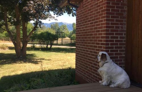 Evergreen Apartment | Peaceful Swan Mountain View Suite with Lovely Amenities