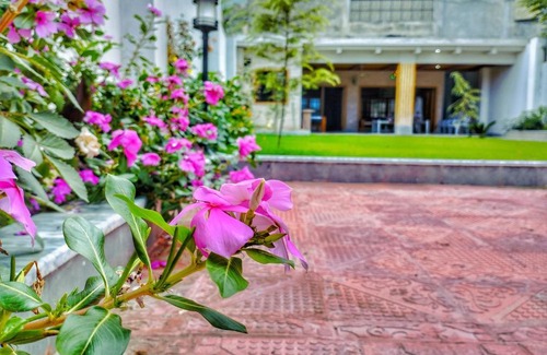 Mingora Apartment | Swat Hilton Guest House by Khan Familia