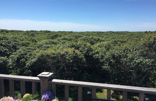 Tom Nevers House | Unforgettable Ocean Views & Family-Friendly Retreat