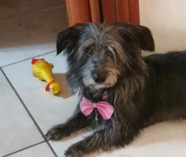 Cimitile Apartment | Cozy Sweet Home Giulia: Family and Pet Friendly Retreat