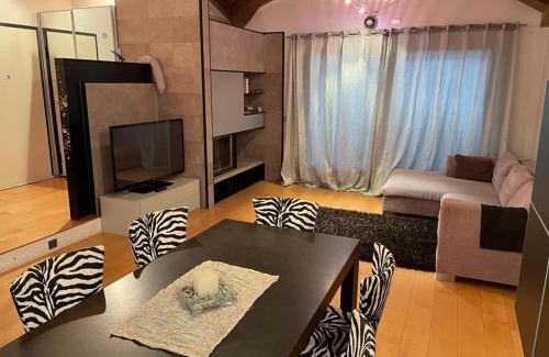 Summaga Apartment | Cozy Sweet Home: Family-Friendly & Pet Welcoming Retreat