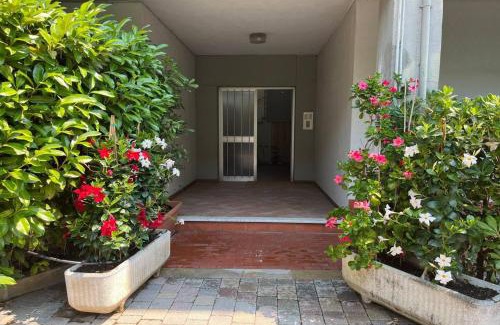 Cinquale Apartment | Cozy Sweet Home Suite - Pet and Child Friendly Retreat