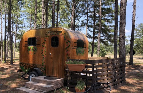 Hawkins House | Sweet little Hippie Chick RV, very quiet and peaceful