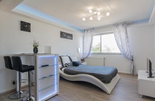 Faubourg-Raines Apartment | Budget-Friendly SweetHome Dijon: Pet & Child Friendly Stay