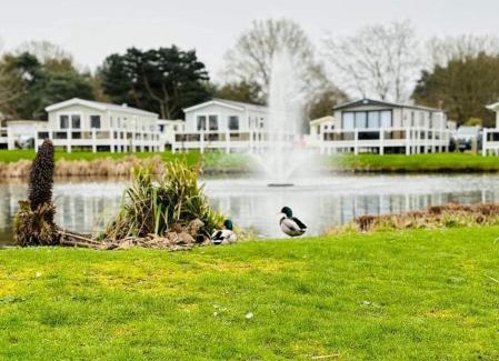 Belton Other | Discover Swift Retreat at Haven Wild Duck Holiday Park