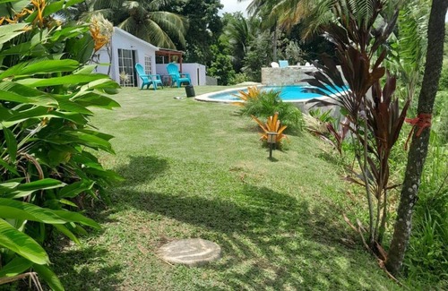 Tejas Apartment | Art Retreat: Swim, Paint & Enjoy Oceanfront Relaxation