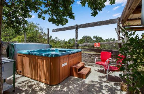 Dripping Springs House | Discover Swing On Inn - A Family-Friendly Hideaway Suite