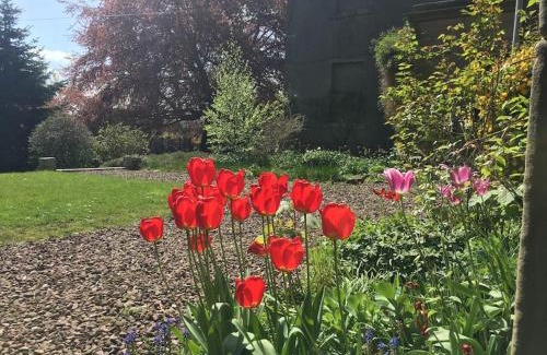 Swinton House | Explore Swinton Manse & Gardens: Family and Pet Friendly