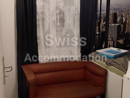 Langstrasse House | Pet-Friendly Swiss Accommodation for Your Ideal Getaway