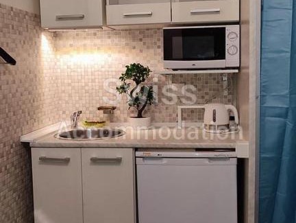 Langstrasse House | Pet-Friendly Swiss Accommodation for Your Ideal Getaway