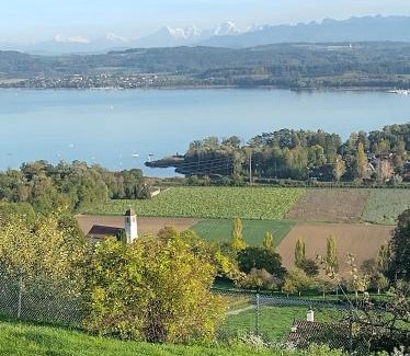 Bellerive Bed & Breakfast | Experience Swiss Borzoi House: Oceanfront Getaway Awaits