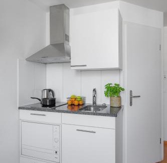 Werd Apartment | Budget-Friendly Swiss Star Aussersihl with Family Amenities