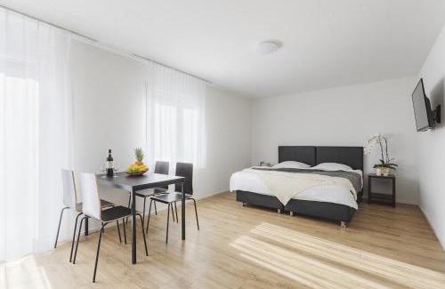 Alt-Wiedikon Apartment | Swiss Star Wiedikon - Convenient Self Check-In for Families