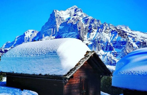 Aeschlen ob Gunten Apartment | SwissHut Stunning Views Alps & Lake - Apart. Lena Down