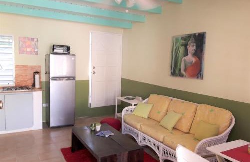 Beacon Hill Apartment | Kid-Friendly SXM Spotters Paradise with 9/10 Guest Rating