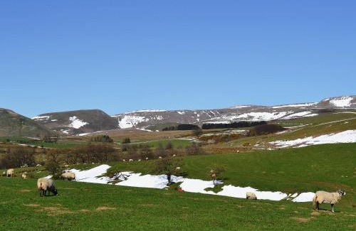 Penrith House | Perfect Retreat at Sycamore Cottage - Pet & Child Friendly