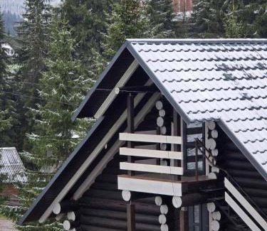 Myslivka Apartment | Synevyr House Апартаменти 2