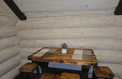 Myslivka Apartment | Synevyr House Апартаменти 2