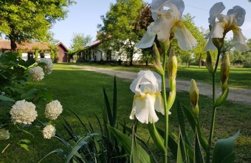 Pusztaszer House | Guest Rated 9.8: Szérűskert Vendégház with Pool & Ocean Views