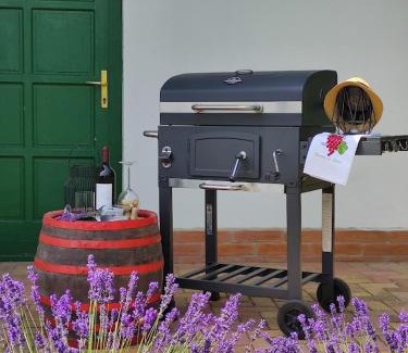 Balatonszemes House | Pet-Friendly Szőlőhegyi házikó: Cottage with Ocean View
