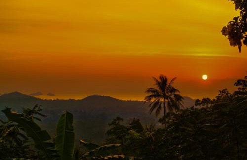 Koh Samui Hotel | Explore SZ Samui Glamping: Family-Friendly Retreat