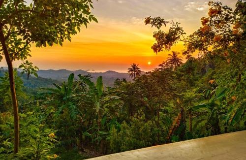 Koh Samui Hotel | Explore SZ Samui Glamping: Family-Friendly Retreat
