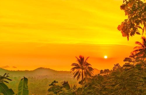 Koh Samui Hotel | Explore SZ Samui Glamping: Family-Friendly Retreat