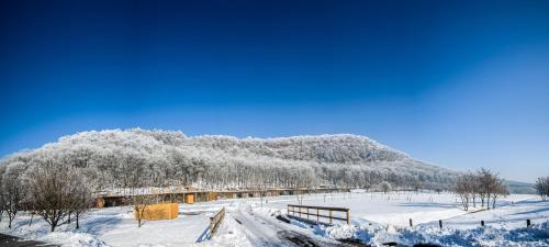 Matraverebely Hotel | Discover Szentkút Pilgrim Center: Rated 9/10 with Family Amenities