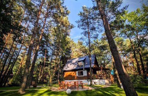 Radzymin House | Relax at Szumiąca Sosna: Jacuzzi, BBQ & Pet-Friendly Stay