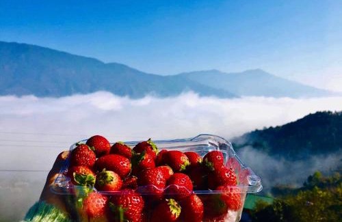 Bac Yen Hotel | Discover Tà Xùa Mây Mơ Màng Homestay with Family-Friendly Amenities