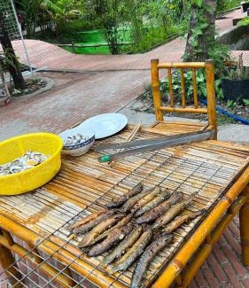 Cai Rang Hotel | Cozy Tây Đô Homestay in Cần Thơ with Family-Friendly Perks