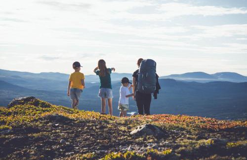 Tannas Cabin | Discover Tännäskröket: Pet-Friendly Family Retreat
