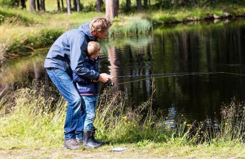 Tannas Cabin | Discover Tännäskröket: Pet-Friendly Family Retreat