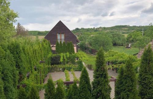 Bank Apartment | Cozy Tó Apartmanházak with Oceanfront Views and Pet-Friendly