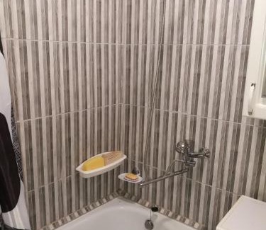 Siauliai City Center Apartment | Cozy Tėjos Guest House: Perfect for Families and Relaxation