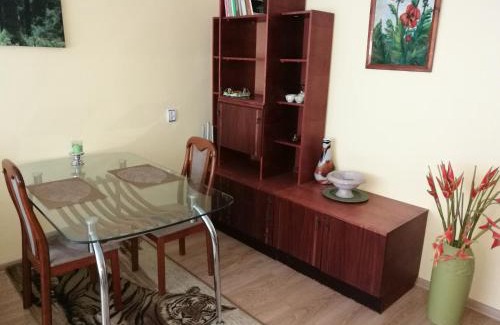 Siauliai City Center Apartment | Cozy Tėjos Guest House: Perfect for Families and Relaxation