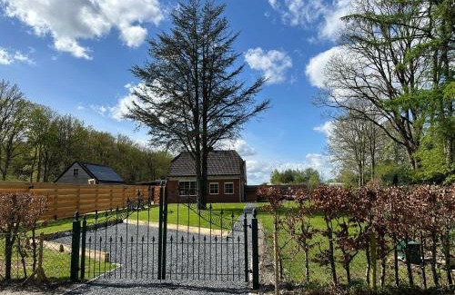 Odoorn House | Experience Family-Friendly Comfort at ‘t Bosrandje