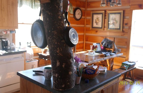 Tellico Plains House | Discover T-Lea Farm: Your 73-Acre Retreat in Tennessee