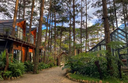 Kon Plong Hotel | Cozy T'MĂNG ĐEENG HOMESTAY with Oceanfront Amenities
