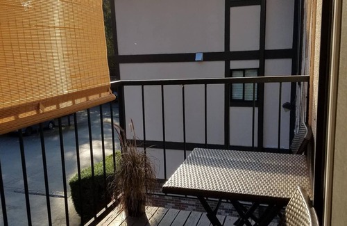 University Place Condo | Discover T Regency Suite with Pool and Kitchen Amenities