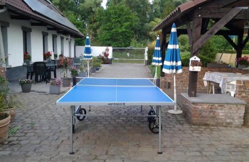 Pijp Tabak House | Oceanfront Escape at 't Vliethuys - Rated 8.8/10 by Guests