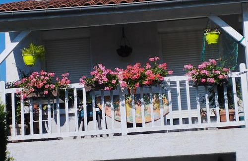 Albi Apartment | Cozy T1 bis: Pet & Child Friendly in a Private Home