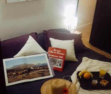 Grand Sud Apartment | Relaxing T2 with Terrace in AIX - Free Parking & WIFI